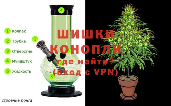мдма Новозыбков