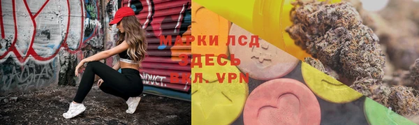 сатива Белоозёрский