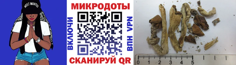 Псилоцибиновые грибы Cubensis нарко площадка какой сайт Острогожск